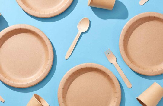 כלים חד פעמיים2